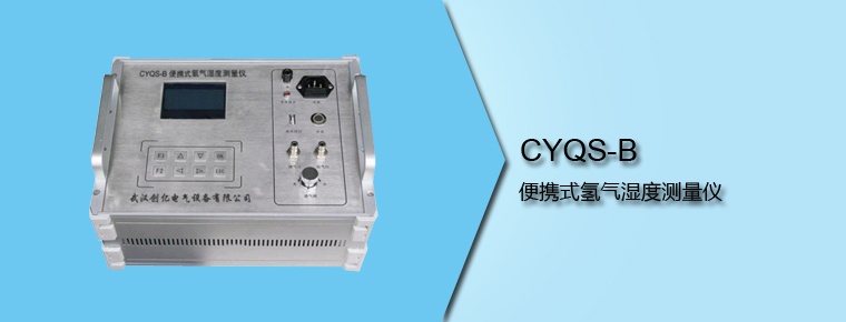CYQS-B 便携式氢气湿度测量仪