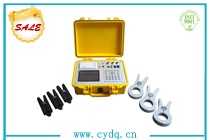 CYPQ-300A 电能质量分析仪