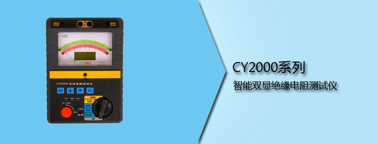 CY2000系列 智能双显绝缘电阻测试仪