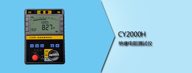 CY2000H 绝缘电阻测试仪