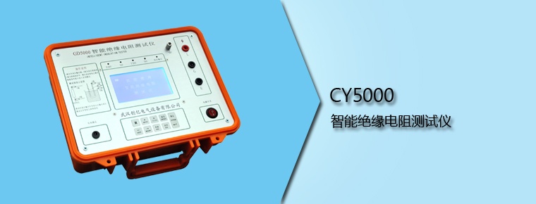 CY5000 智能绝缘电阻测试仪