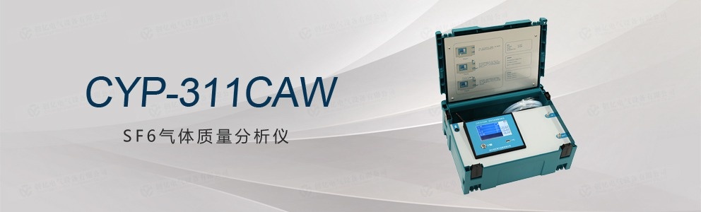 CYP-311CAW SF6气体质量分析仪