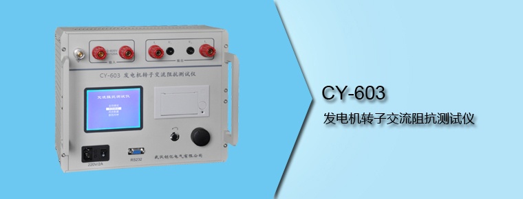 CY-603 发电机转子交流阻抗测试仪