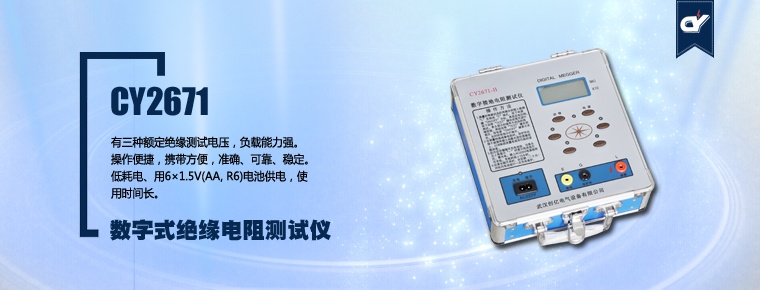 CY2671 数字式绝缘电阻测试仪