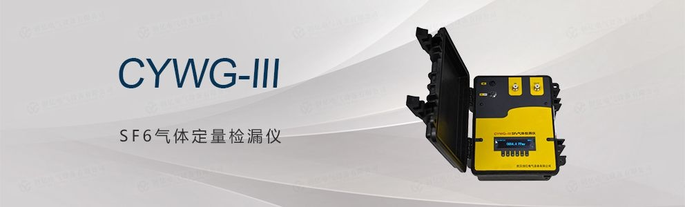 CYWG-III SF6气体定量检漏仪